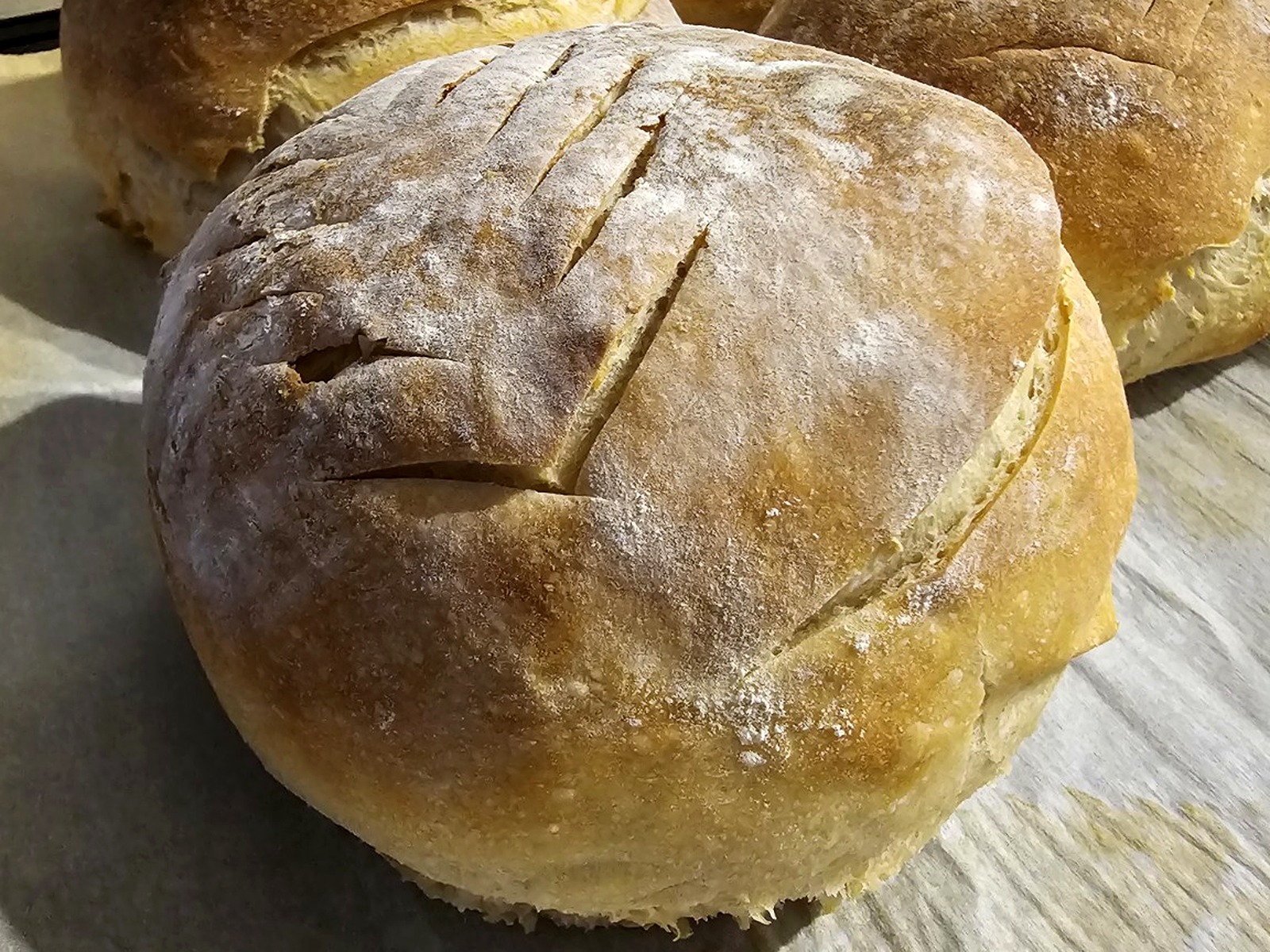 Fresh-baked plain sourdough loaves with a golden crust, soft chewy center, and classic homemade flavor.